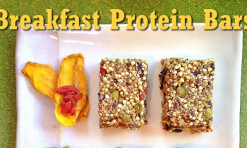 Raw Vegan Breakfast Protein Bars Recipe