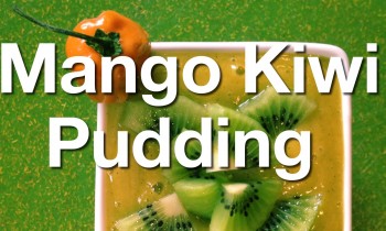 Simple Raw Vegan Recipe: Mango Kiwi Pudding