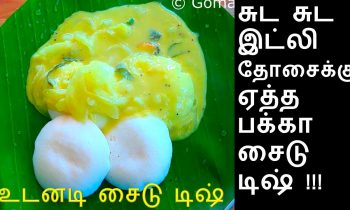 சுட சுட இட்லி தோசைக்கு ஏத்த பக்கா சைடு டிஷ் !!! | Side dish for idli,dosai and chapathi