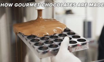 How Gourmet Chocolates Are Made • Tasty