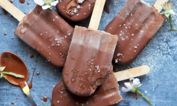 The Best Chocolate Popsicles