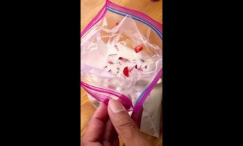 Ice Cream In A Bag