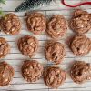 Hot Chocolate Cookies